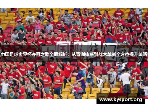中国足球世界杯夺冠之路全面解析：从青训体系到战术革新全方位提升策略