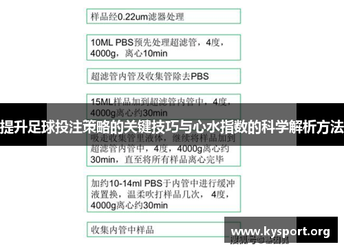提升足球投注策略的关键技巧与心水指数的科学解析方法